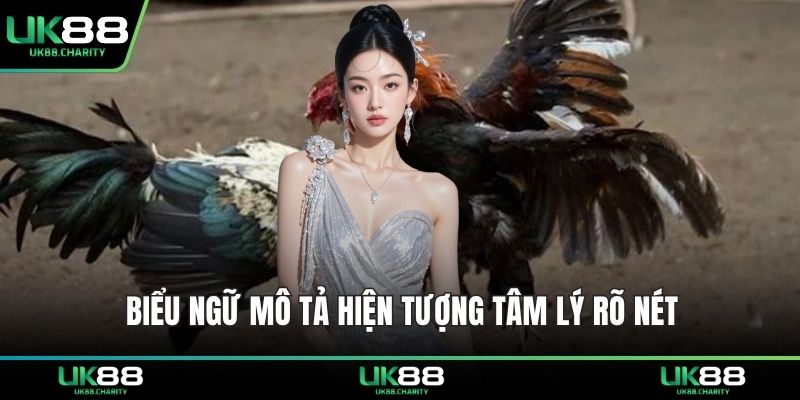 Thuật Ngữ Trong Đá Gà – Giải Mã Ngôn Ngữ Đấu Trường 2 Biểu ngữ mô tả hiện tượng tâm lý rõ nét