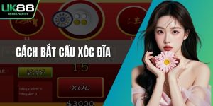 Cách bắt cầu xóc đĩa