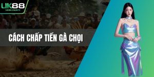 Cách chấp tiền gà chọi