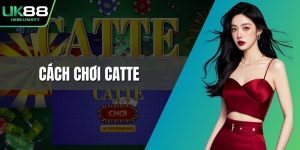 Cách chơi Catte