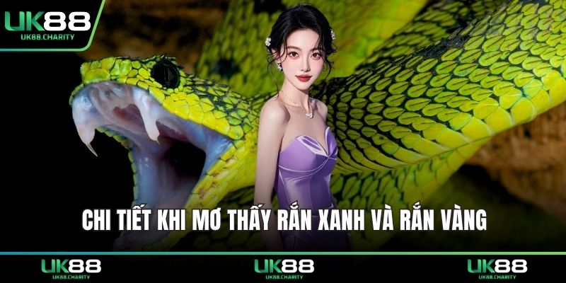 Nằm Mơ Thấy Rắn Đánh Con Gì? Giải Mã Giấc Mơ Trúng Lớn 2 Chi tiết khi mơ thấy rắn xanh và rắn vàng