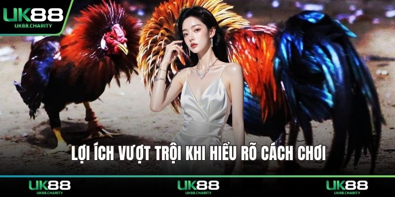 Cách Chơi Đá Gà – Bí Quyết Hiểu Luật Và Ra Đòn Chính Xác 3 Lợi ích vượt trội khi hiểu rõ cách chơi