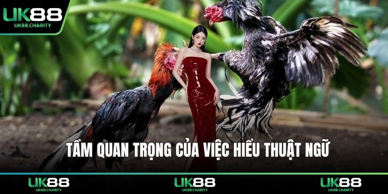 Thuật Ngữ Trong Đá Gà – Giải Mã Ngôn Ngữ Đấu Trường 3 Tầm quan trọng của việc hiểu thuật ngữ