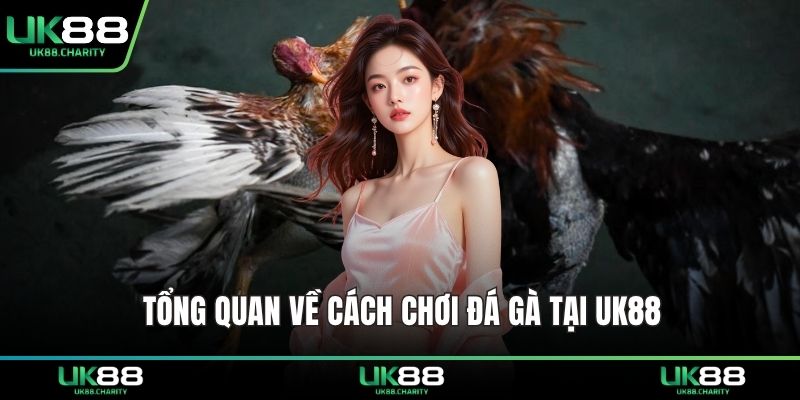 Cách Chơi Đá Gà – Bí Quyết Hiểu Luật Và Ra Đòn Chính Xác 1 Tổng quan về cách chơi đá gà tại UK88