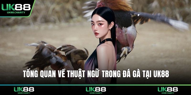 Thuật Ngữ Trong Đá Gà – Giải Mã Ngôn Ngữ Đấu Trường 1 Tổng quan về thuật ngữ trong đá gà tại UK88