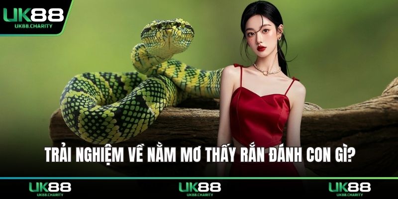 Nằm Mơ Thấy Rắn Đánh Con Gì? Giải Mã Giấc Mơ Trúng Lớn 1 Trải nghiệm về nằm mơ thấy rắn đánh con gì?